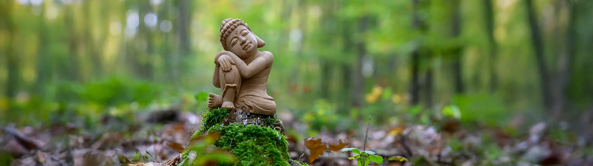 WEIT-Foto_Reiki-Buddha-Wald