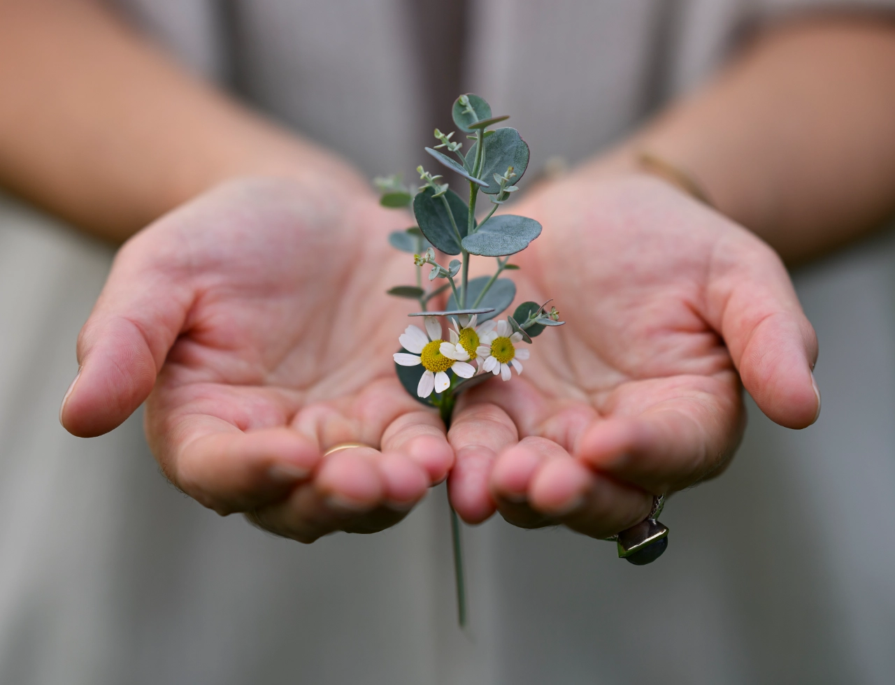 WEIT-Foto_Reiki-Leistungen_Fernreiki