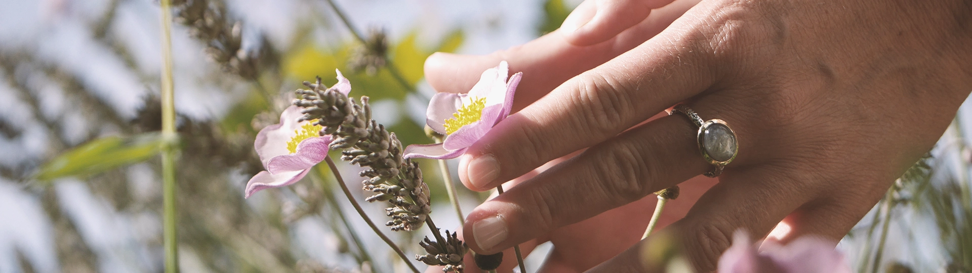 WEIT-Foto_Reiki-Ausbildung_Quer-01