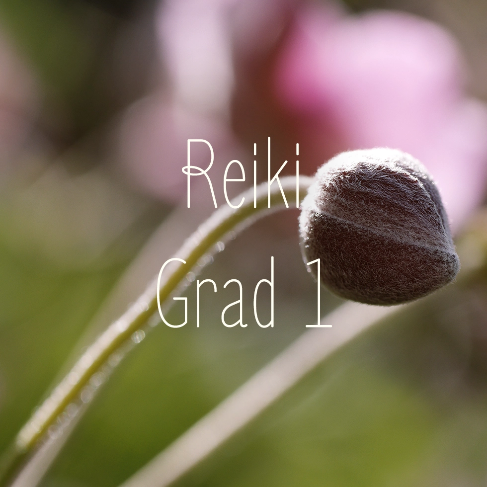 Reiki Grad 1