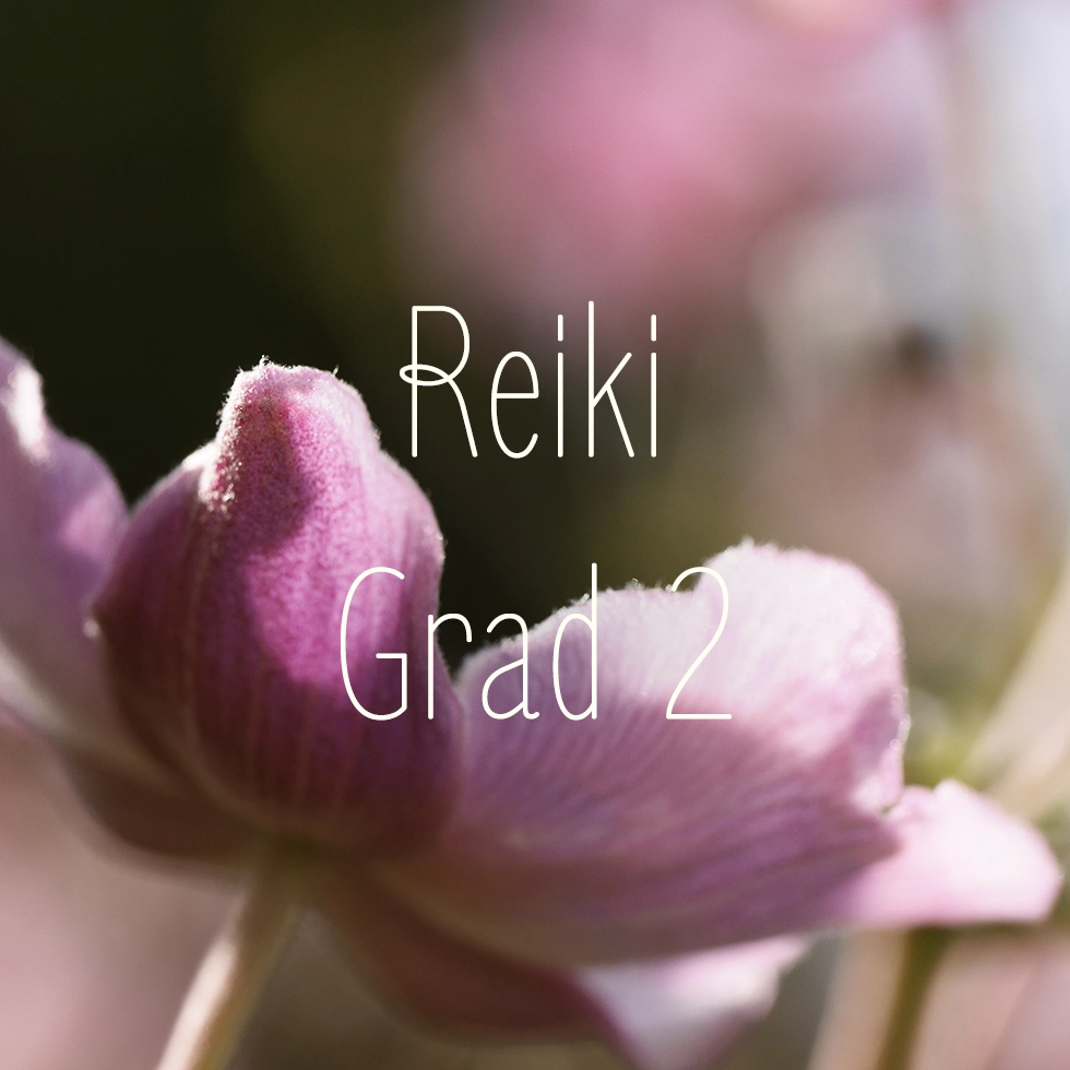 Reiki Grad 2