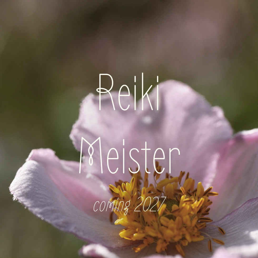WEIT-Buttons_Reiki-Meister_coming2027-update