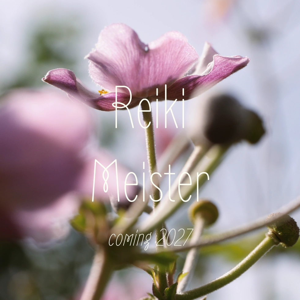 WEIT-Buttons_Reiki-Meister_coming2027