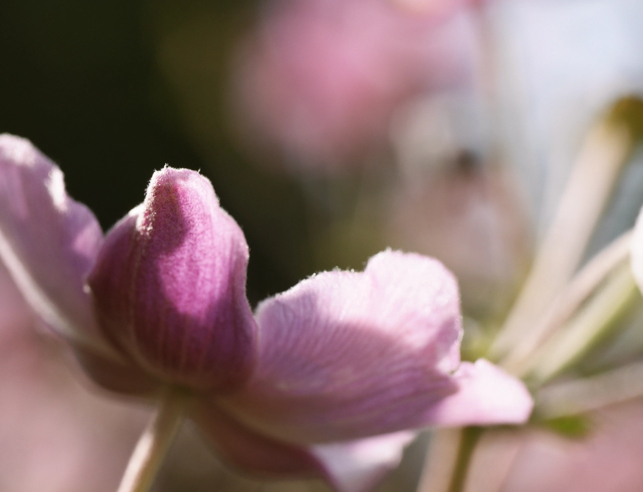 WEIT-Foto_Reiki-Ausbildung_Quad-Grad2